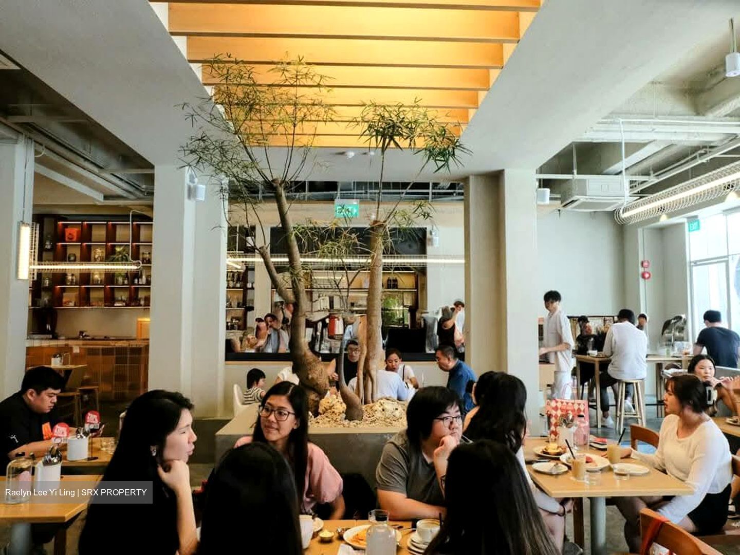 Jalan Besar (D8), Shop House #579699121